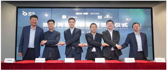 开放的斑马，受益的不止尊龙凯时
